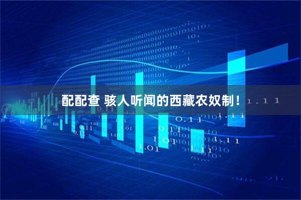 配配查 骇人听闻的西藏农奴制！